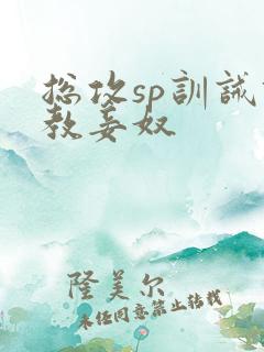 总攻sp训诫调教妾奴