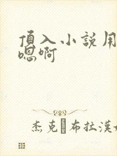 顶入小说用力啊嗯啊