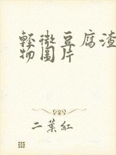 轻微豆腐渣分泌物图片