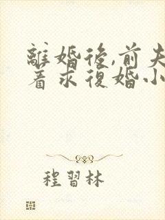 离婚后,前夫哭着求复婚小说正版