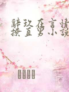 辞玖在言情文里撩直男小说