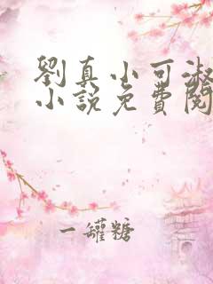 刘真小可淑芳的小说免费阅读