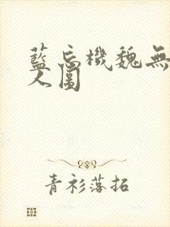 蓝忘机魏无羡同人图