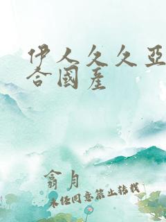 伊人久久亚洲综合国产