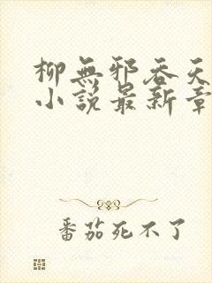 柳无邪吞天神鼎小说最新章节更新