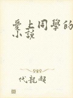 爱上同学的妈妈小说