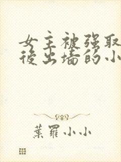 女主被强取豪夺后出墙的小说