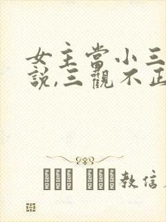 女主当小三的小说,三观不正