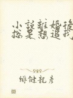 小说离婚后前夫总是想追我免费读