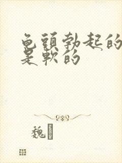 龟头勃起的时候是软的