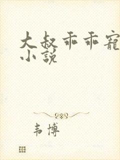 大叔乖乖宠我 小说