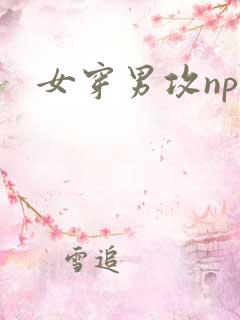 女穿男攻np