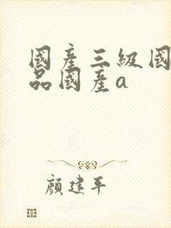 国产三级国产精品国产a