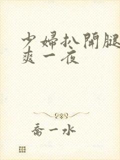 少妇扒开腿让我爽一夜