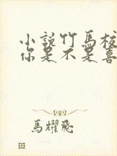 小说竹马校草,你是不是喜欢我