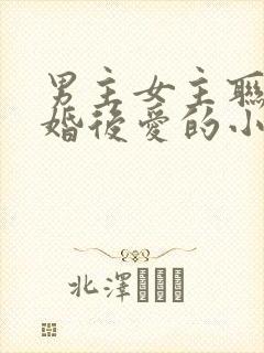 男主女主联姻先婚后爱的小说