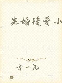 先婚后爱小甜文