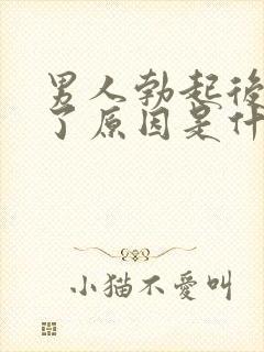 男人勃起后又软了原因是什么