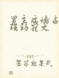 男主病娇占有欲强的宠文