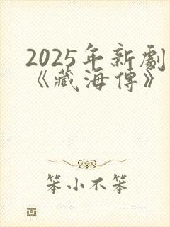 2025年新剧《藏海传》