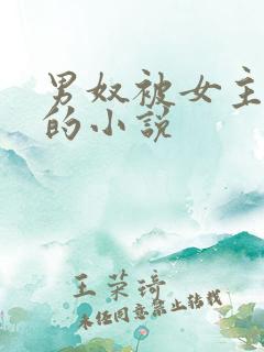 男奴被女主玩弄的小说