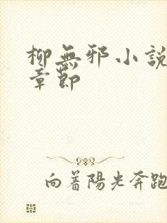 柳无邪小说最新章节