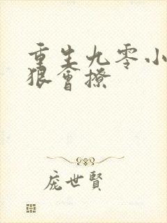 重生九零小辣妻狠会撩