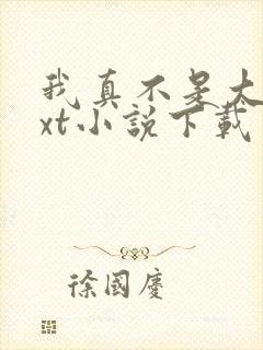 我真不是大佬txt小说下载