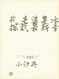 我老婆是冰山女总裁最新章节阅