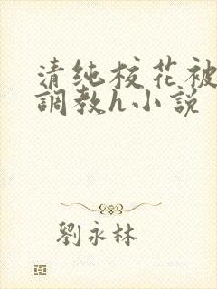 清纯校花被地狱调教h小说