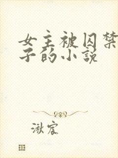 女主被囚禁生孩子的小说