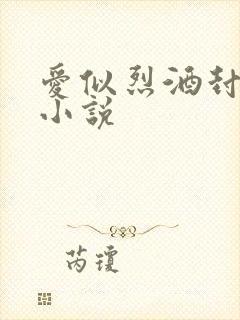 爱似烈酒封喉 小说