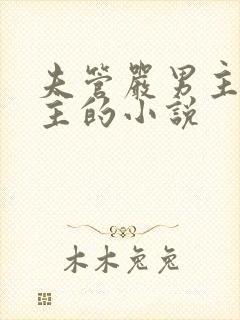 夫管严男主揍女主的小说