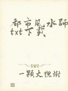 都市风水师全本txt下载