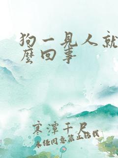 狗一见人就尿怎么回事