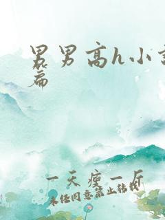 男男高h小说短篇