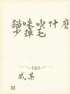 猫咪吃什么可以少掉毛