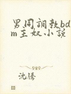 男同调教bdsm主奴小说