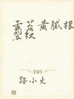 舌苔黄腻根部有裂纹