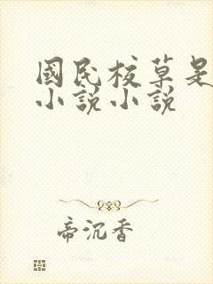 国民校草是女生小说小说