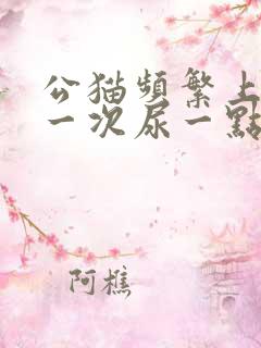 公猫频繁上厕所一次尿一点咋回事