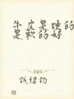 牛皮是硬的好还是软的好