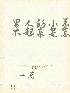 男人的小弟弟硬不起来是怎么回事?