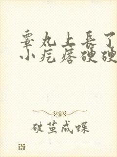 睾丸上长了一个小疙瘩硬硬的