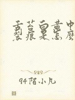 舌苔白黄中间有裂痕是怎么回事