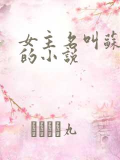 女主名叫苏念晚的小说
