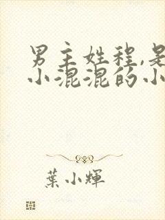 男主姓程,是个小混混的小说