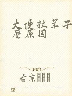 大便拉羊子屎什么原因