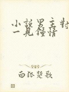 小说男主对女主一见钟情