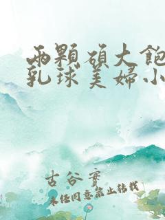 两颗硕大饱满的乳球美妇小说